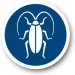 Cockroach-Icon-5